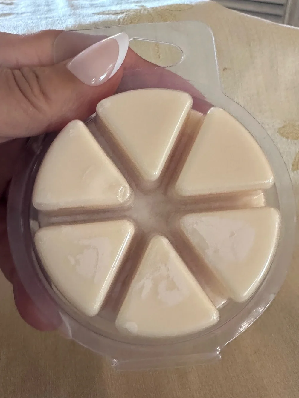 Scentsy Disney Toy Story The Gang’s All Here + Whiskey Wick Fruity Wax Melt Bar.